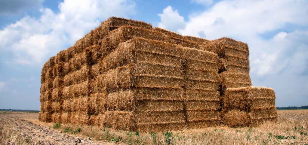 strawbales